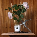 Candle Bougie 06 180g